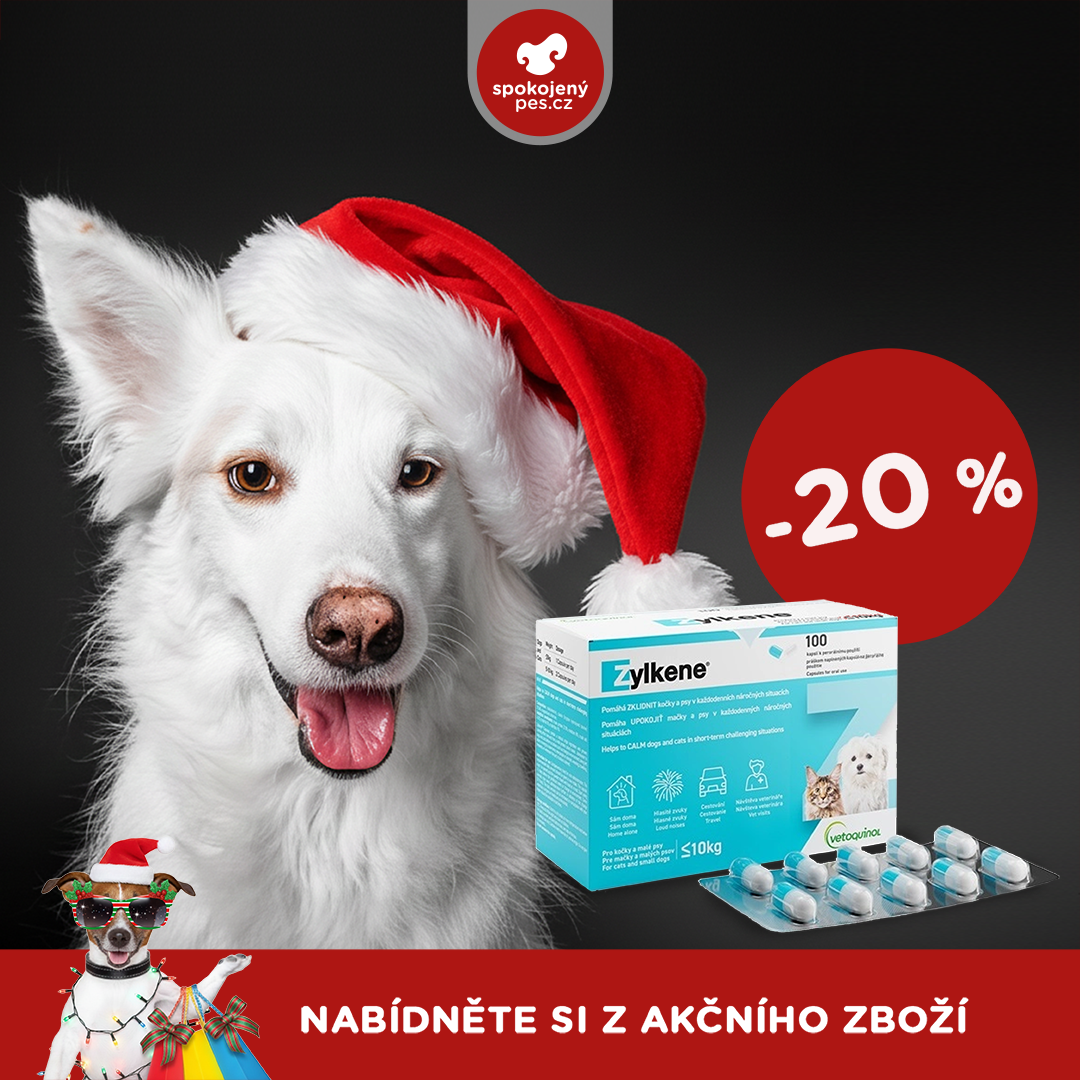 akční prosinec_pes3.png